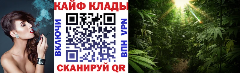Где купить наркоту Оса ГАШИШ Cocaine Alpha PVP МЕФ