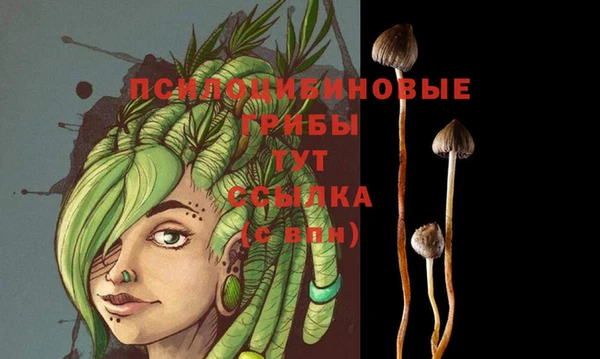 бутират Балахна