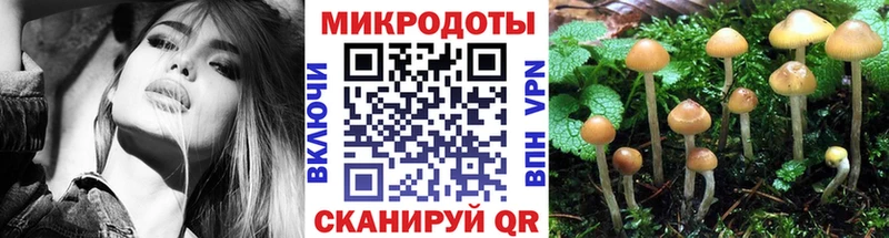 Псилоцибиновые грибы Magic Shrooms  Оса 